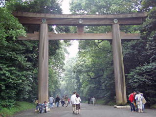 靖国神社の神門や明治神宮の大鳥居 実は台湾ヒノキで作られていた